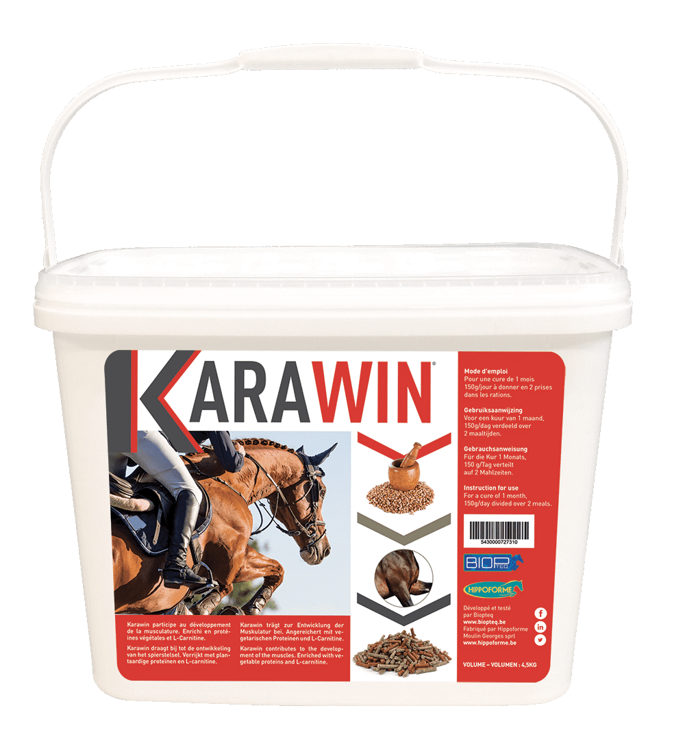 Karawin (1)